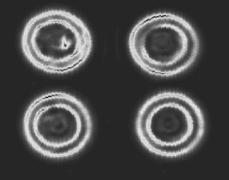 Using radar to detect foreign objects in foods